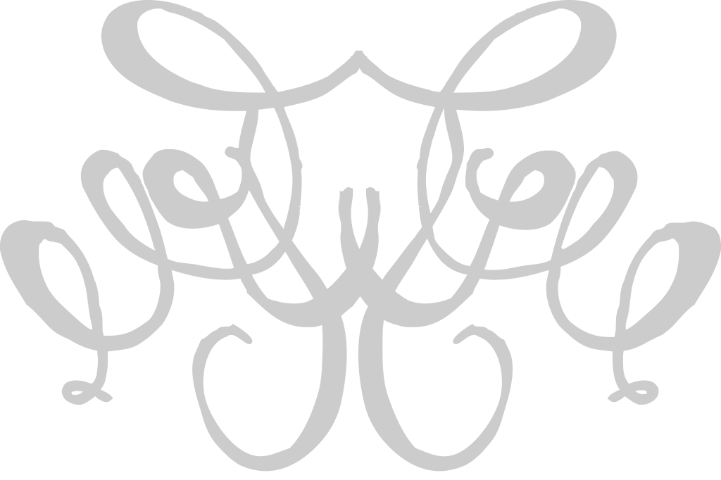 Scribble vector