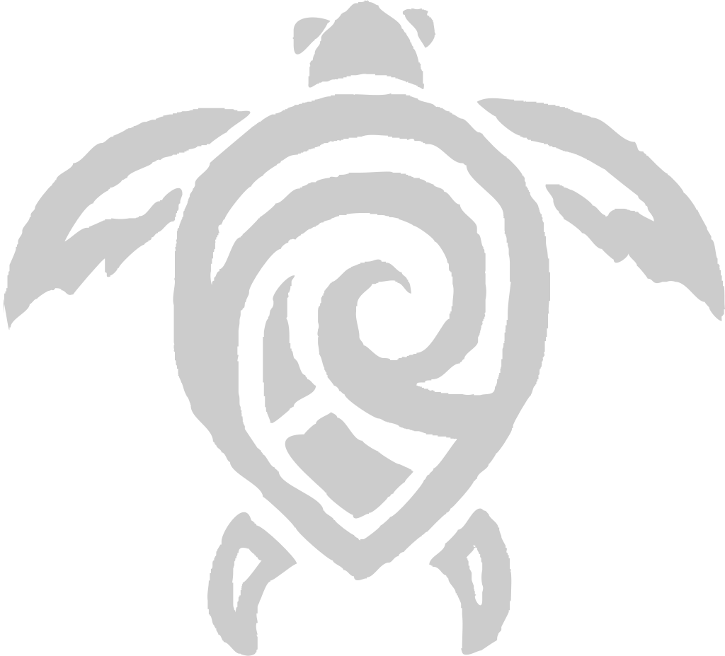 Tribal tattoo turtle vector