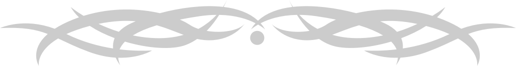 Tribal hawaiian divider vector