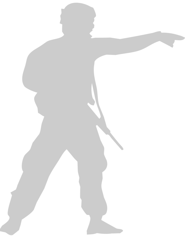 command soldier vector