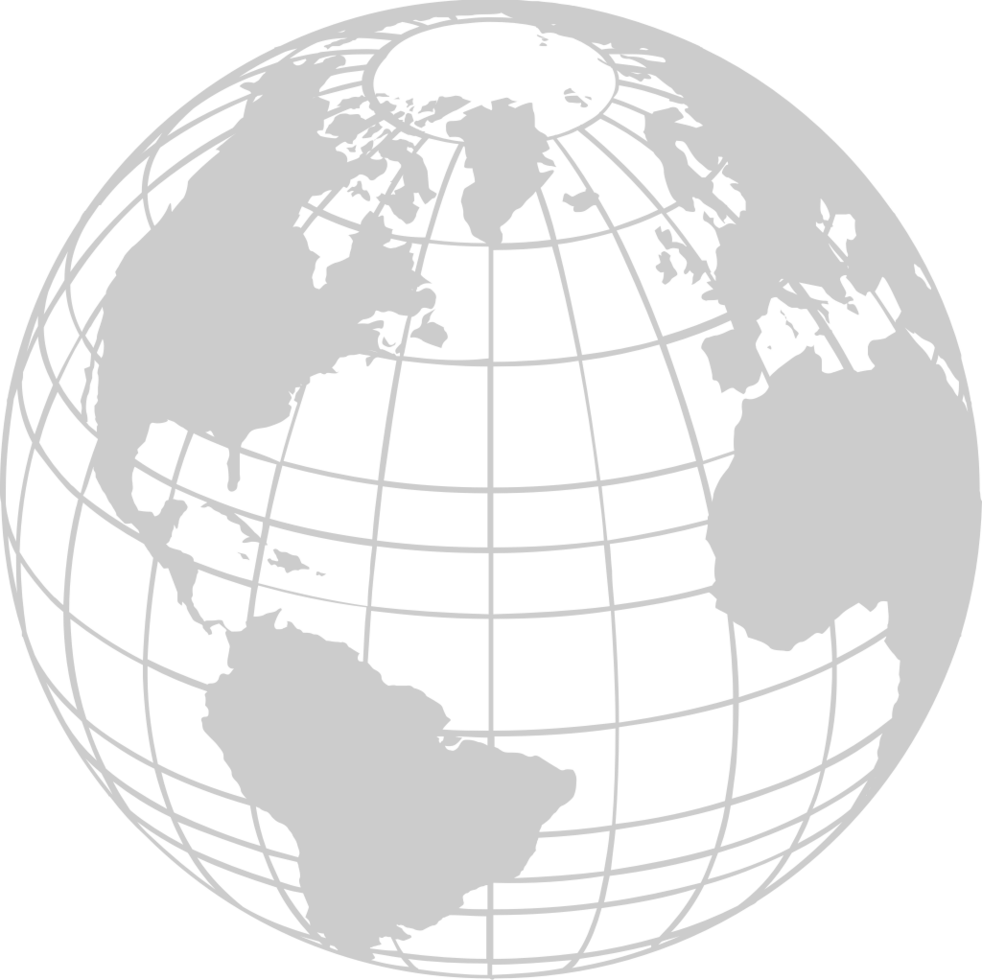 Grid Globe Map vector