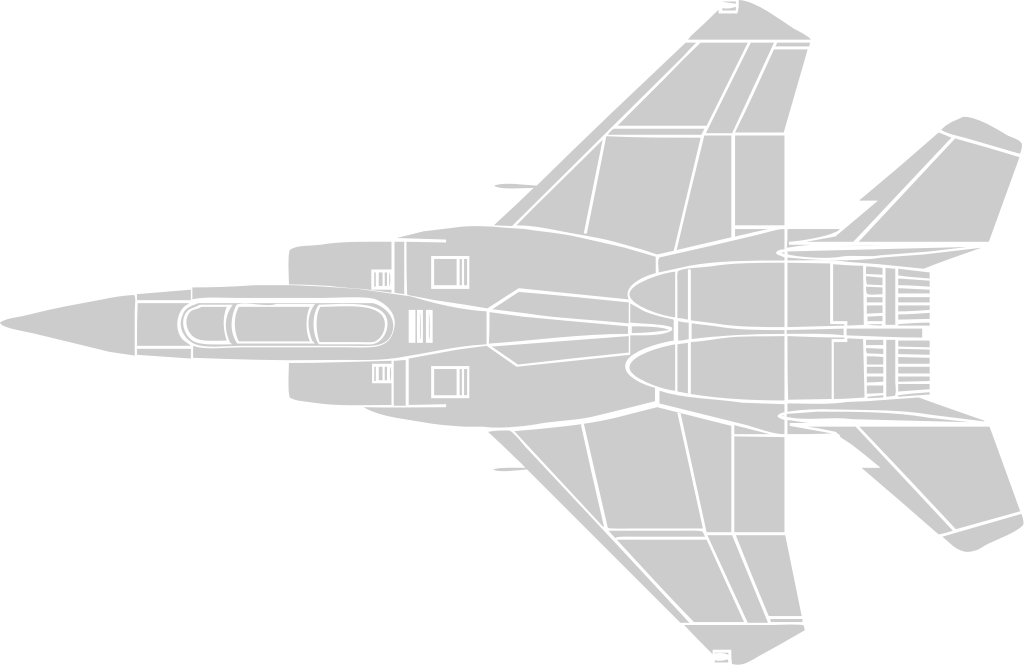 Aircraft vector