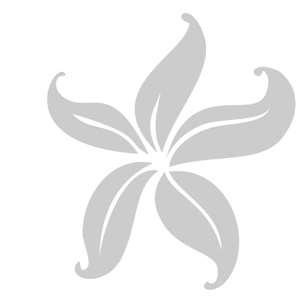 flor del lirio vector