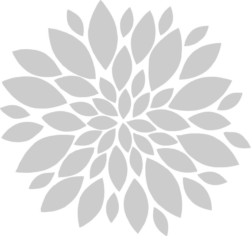 Carnation Flower vector