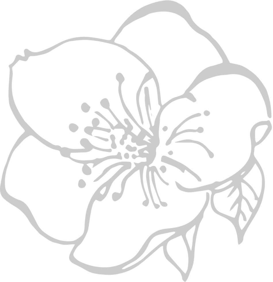 Flowers vector