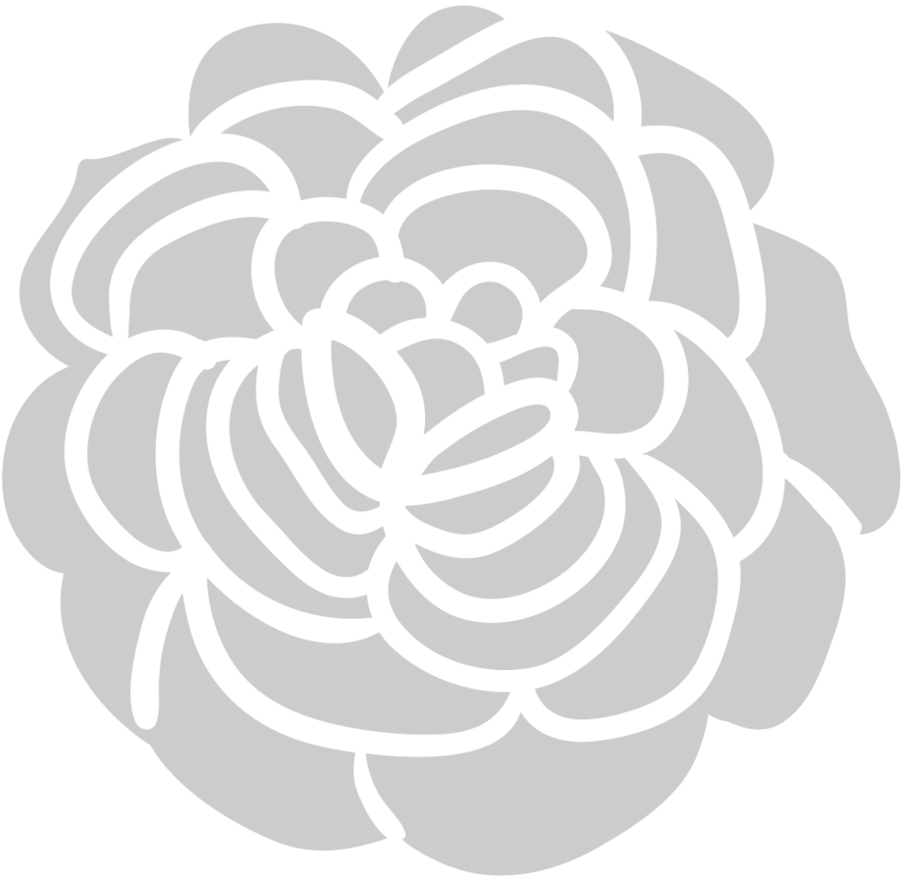 Carnation Flower vector