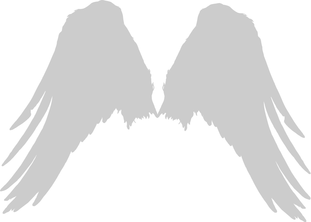 Wings vector