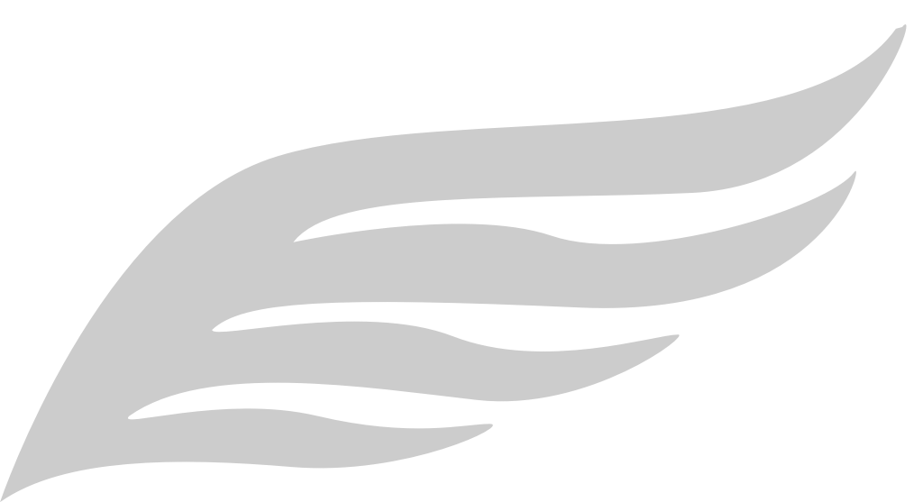 Wing  vector