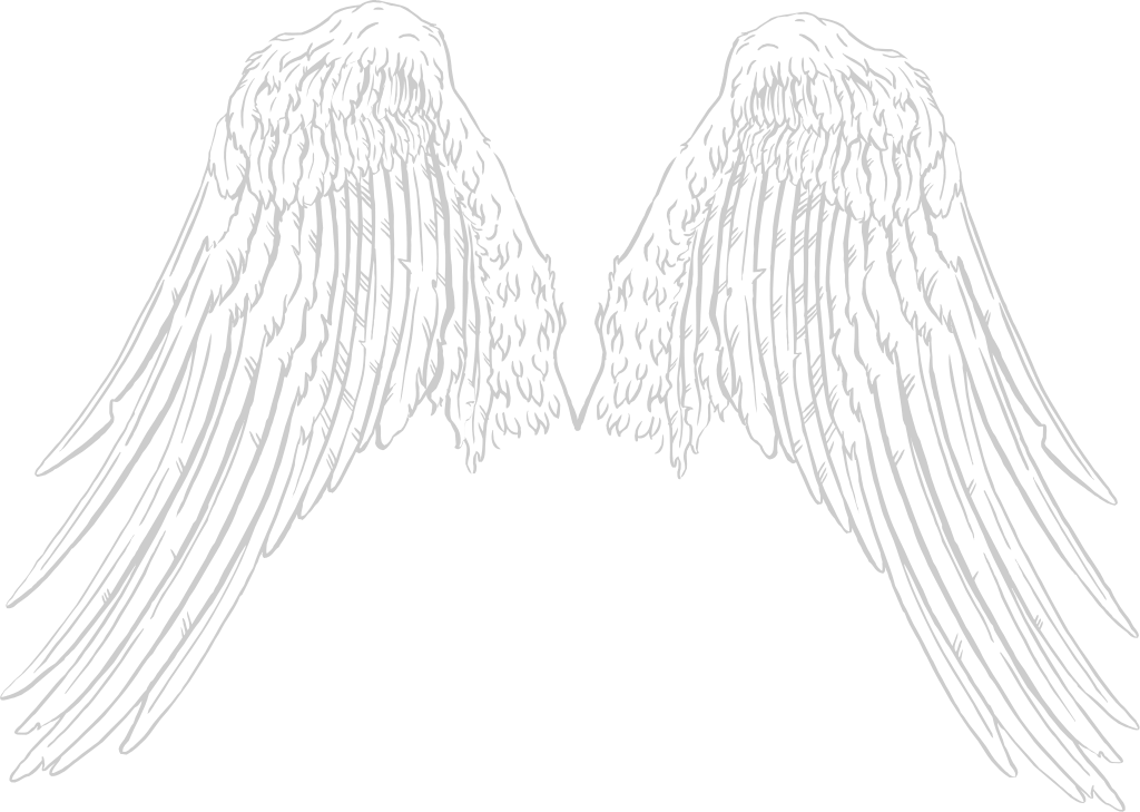 Wings vector