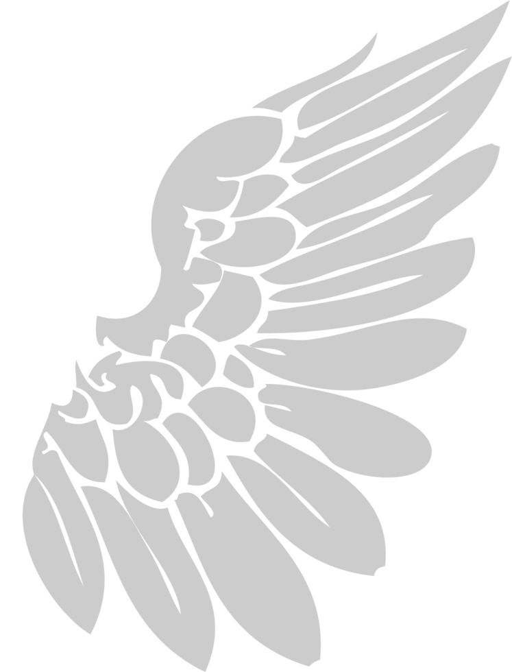 Wing  vector