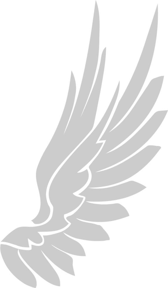 Wing  vector