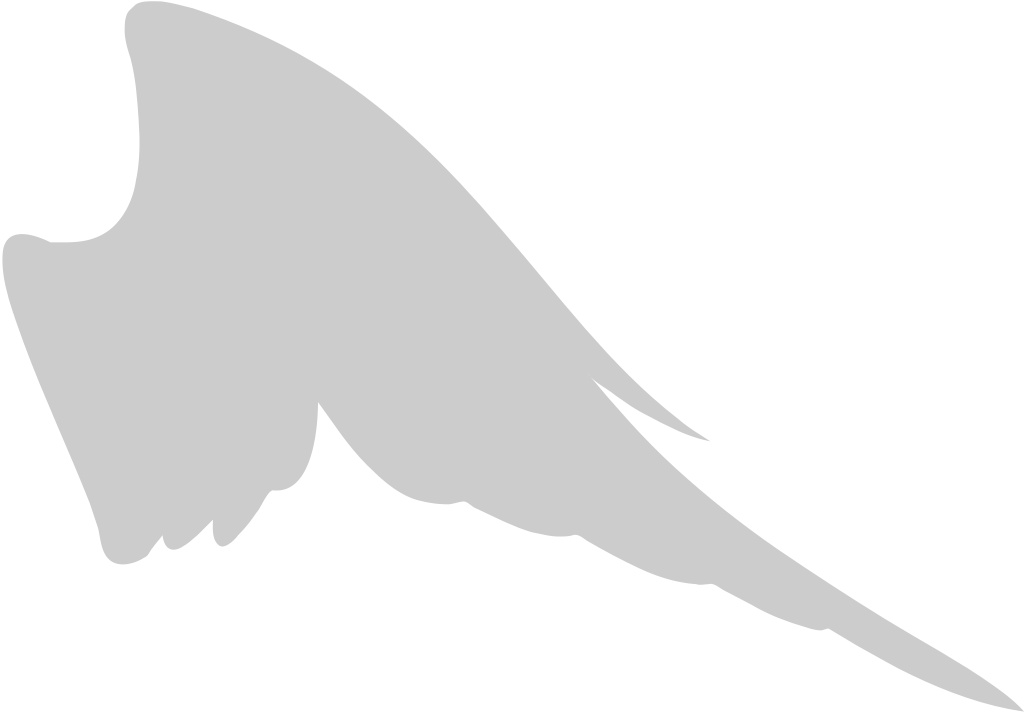 Wing  vector