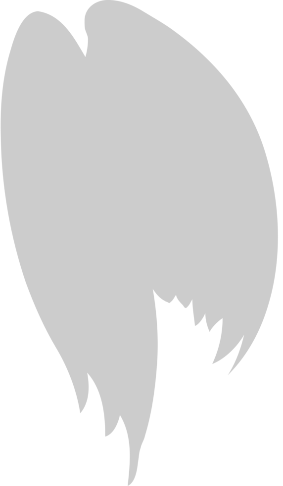 Wing  vector