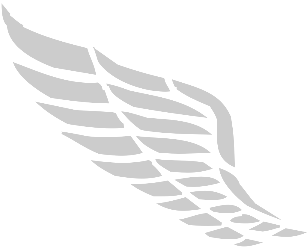 Wing  vector