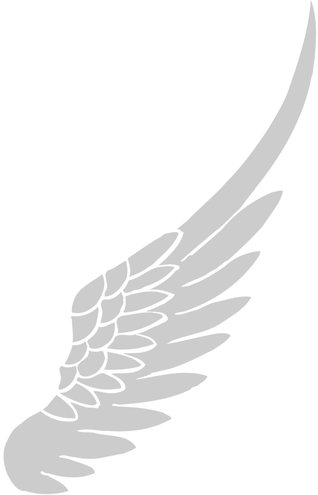 Wing  vector