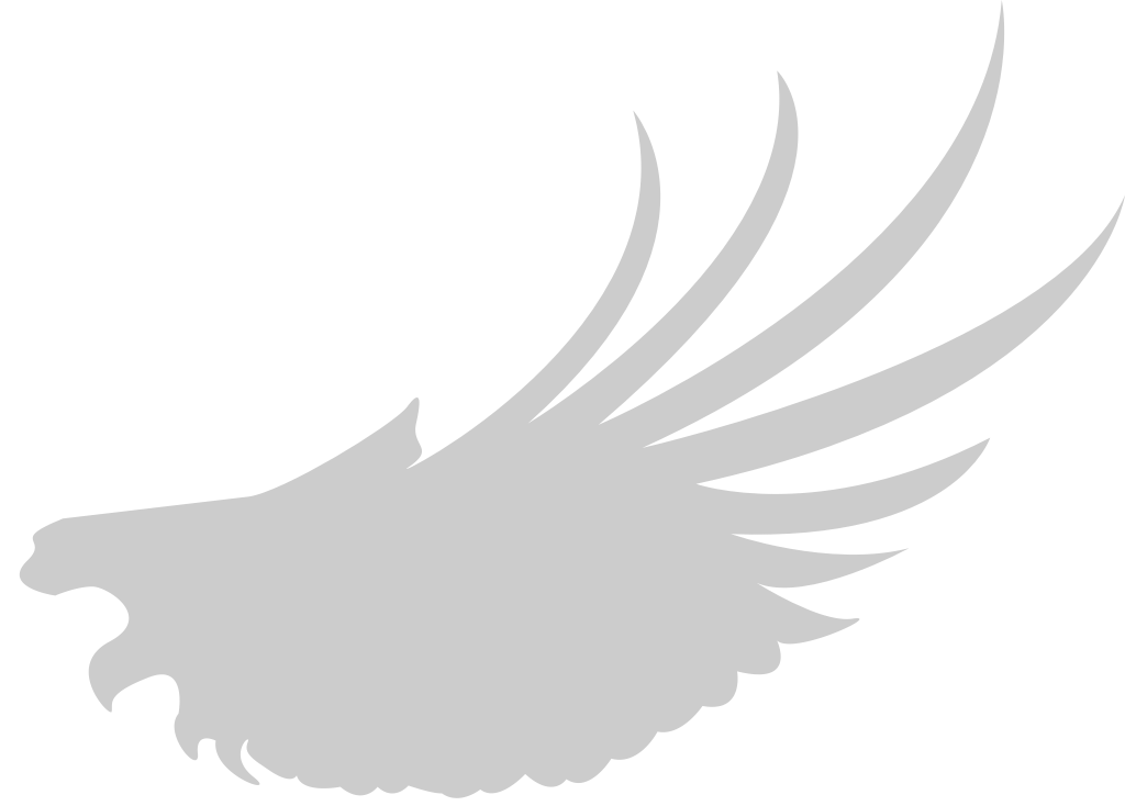 Wing  vector