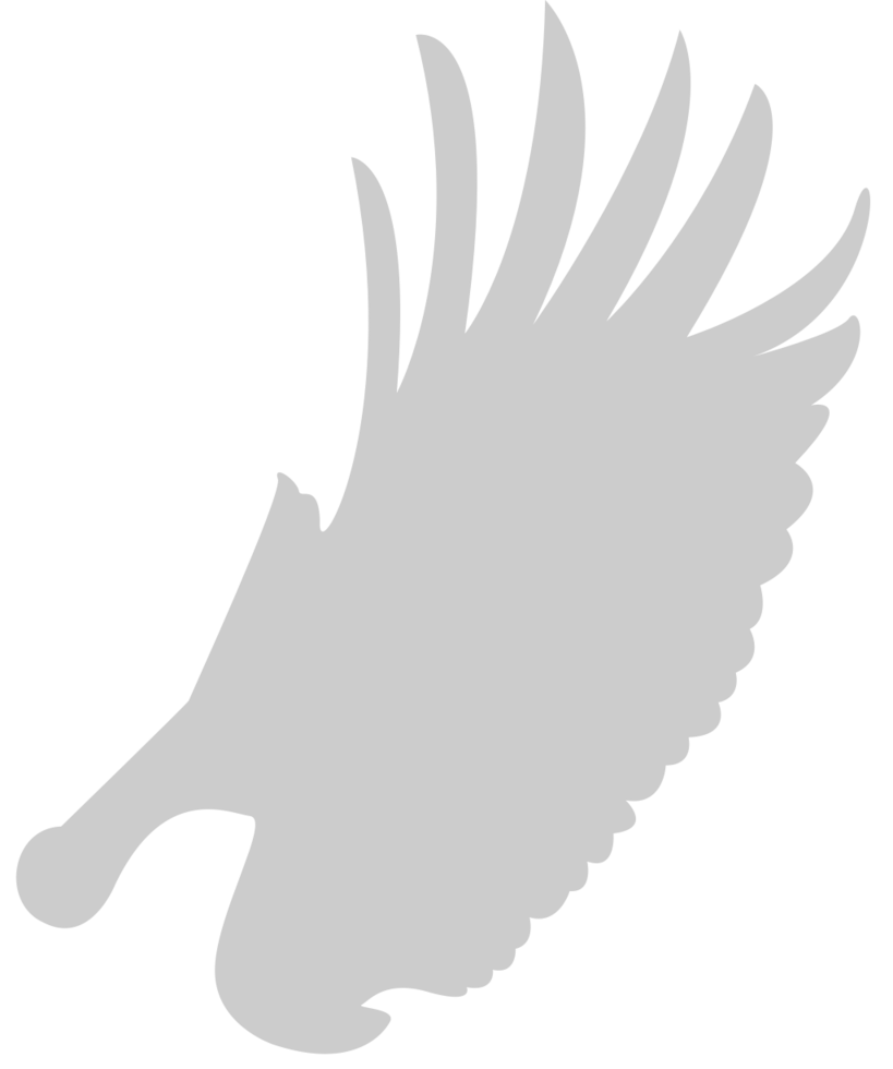 Wing  vector