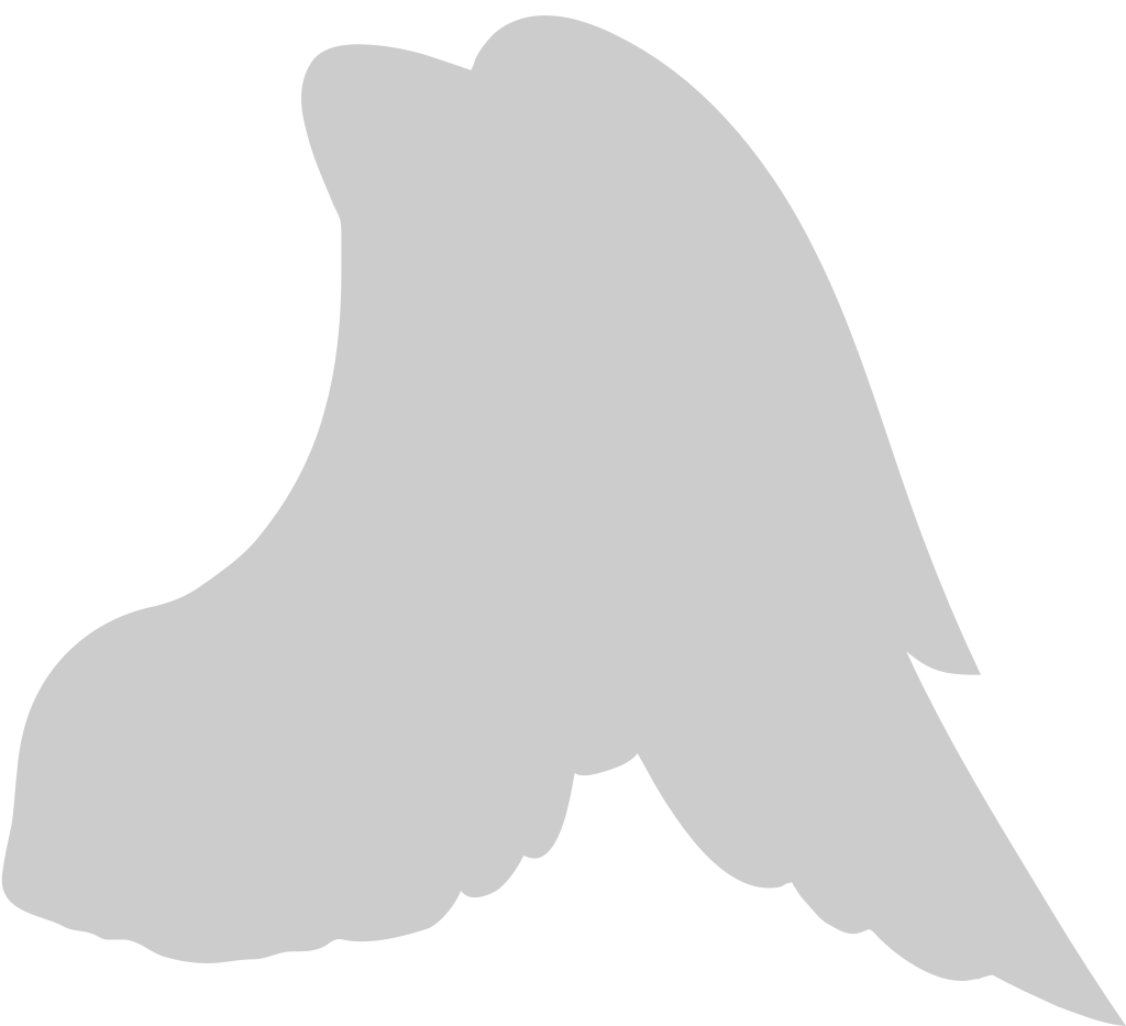 Wing  vector