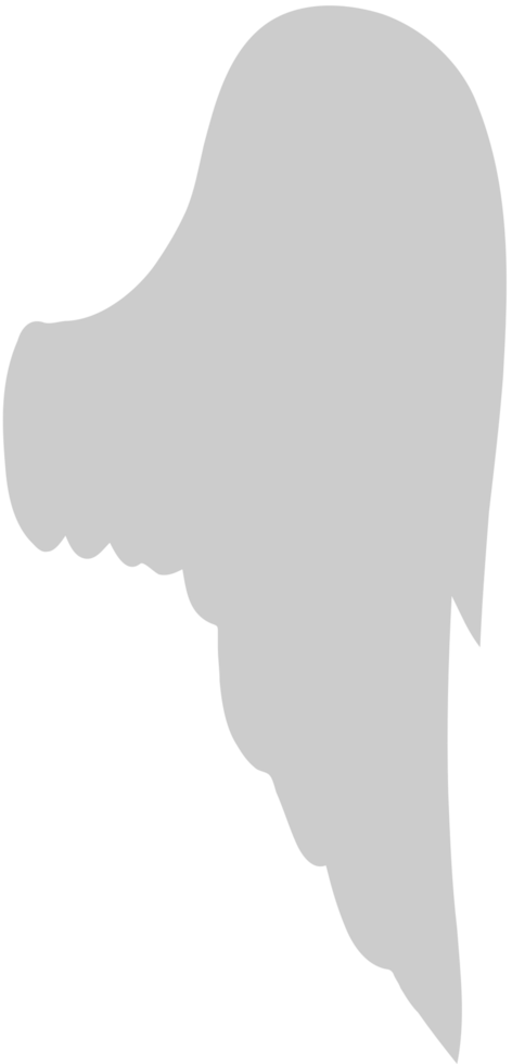 Wing  vector