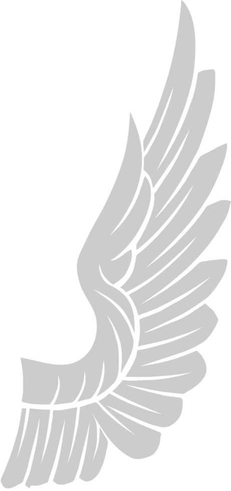 Wing  vector