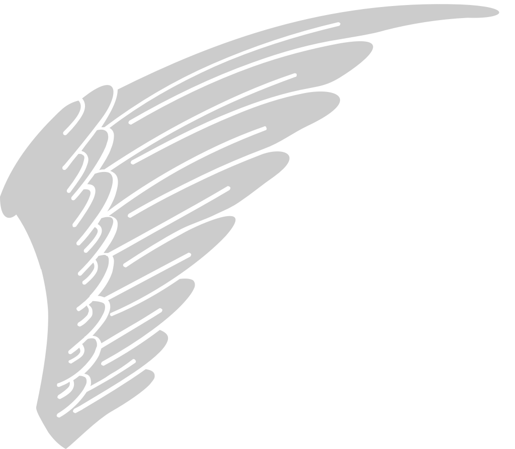 Wing  vector