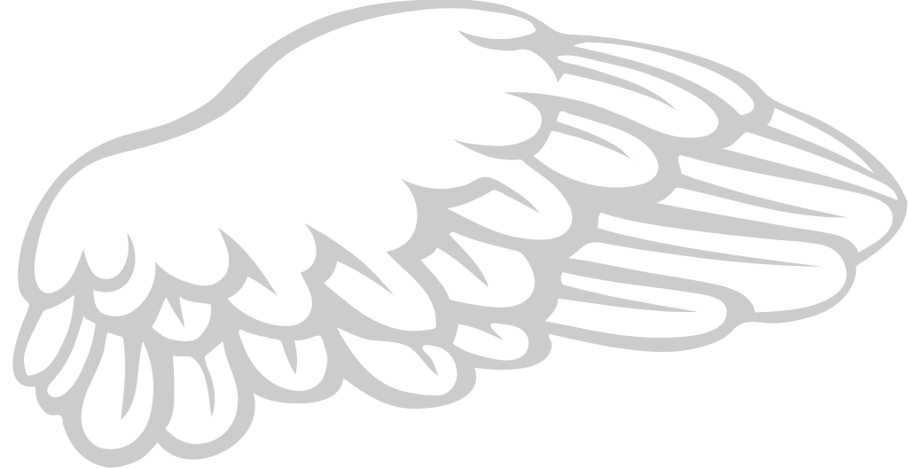 Wing  vector