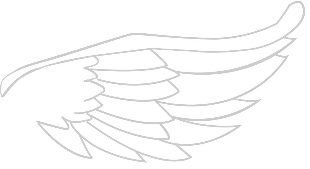 Wing  vector