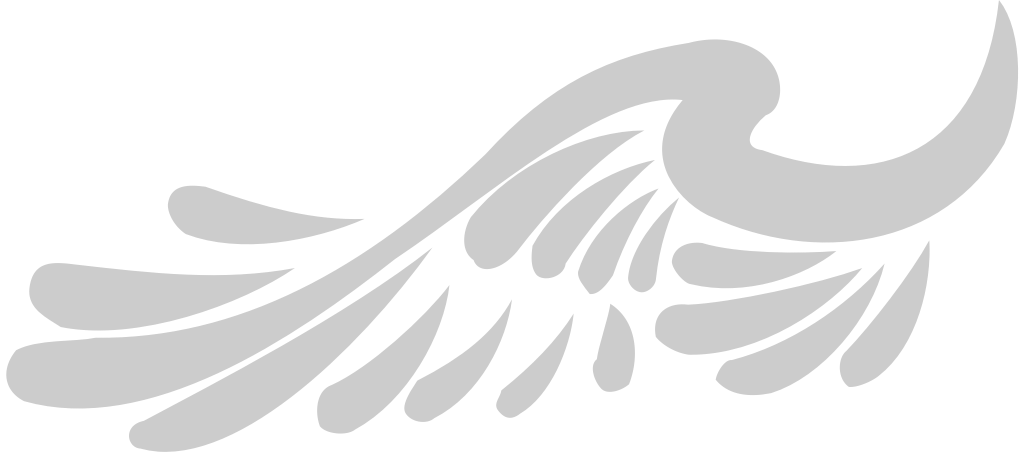 Wing  vector