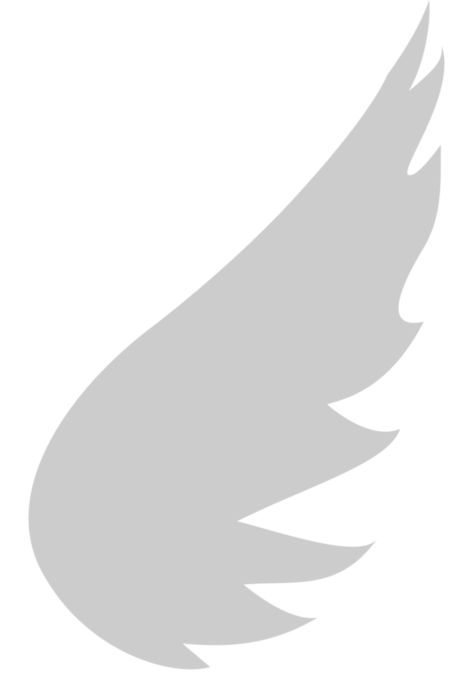 Wing  vector