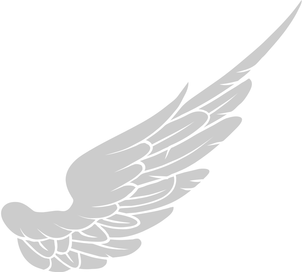 Wing  vector