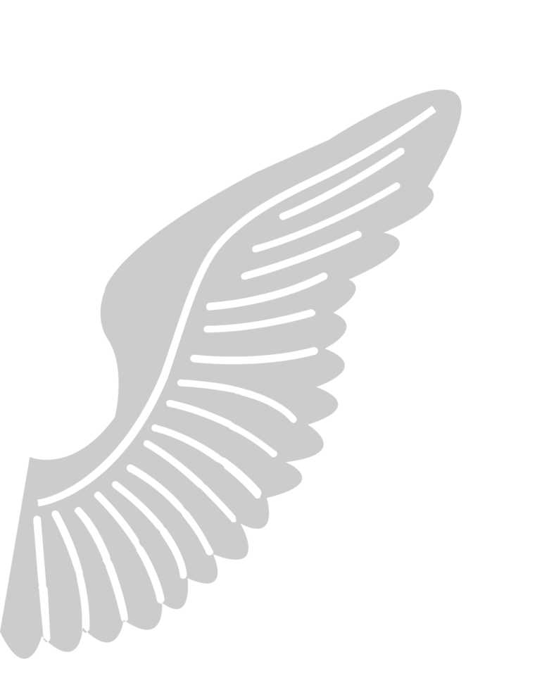 Wing  vector