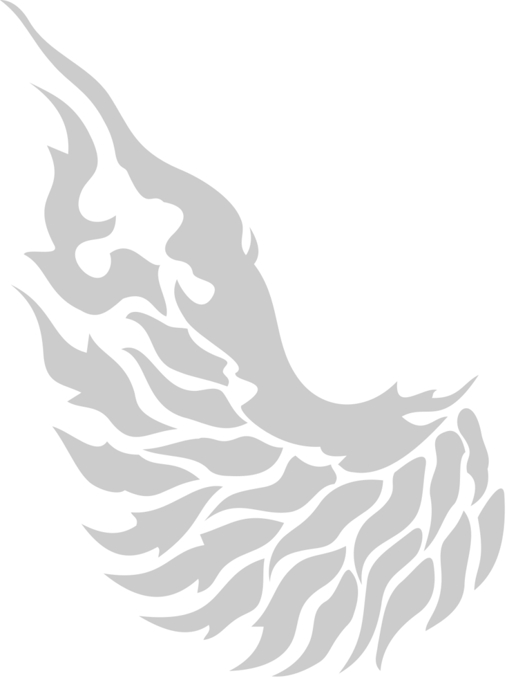 Wing  vector