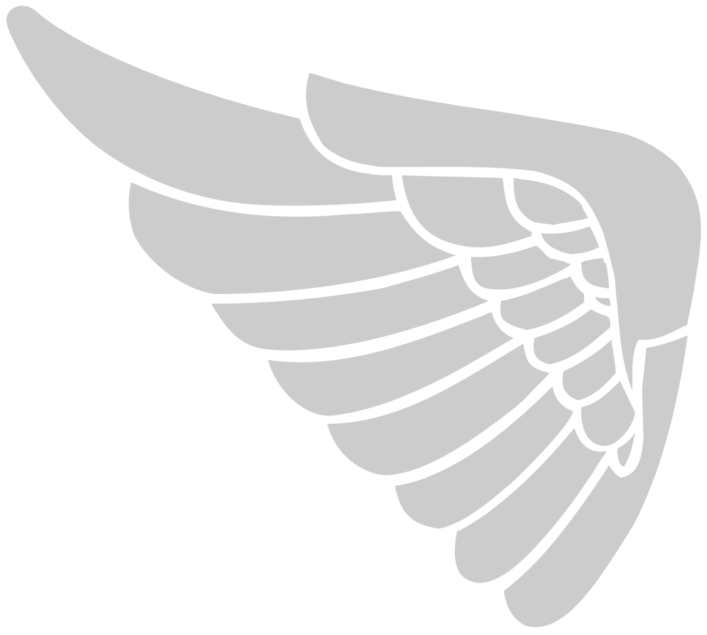 Wing vector