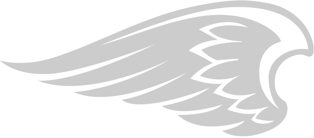 Wing vector