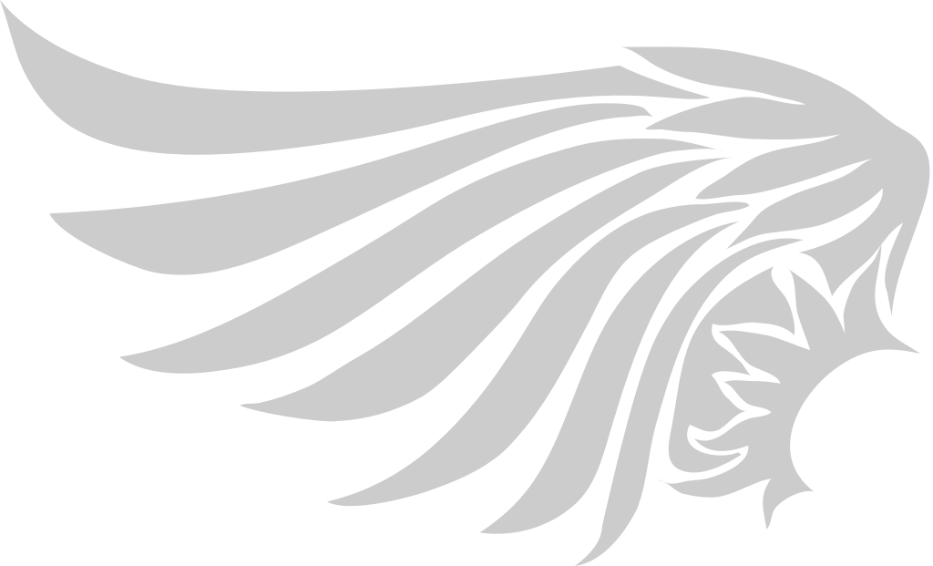 Wing vector