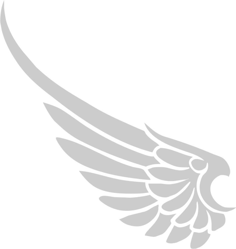 Wing vector
