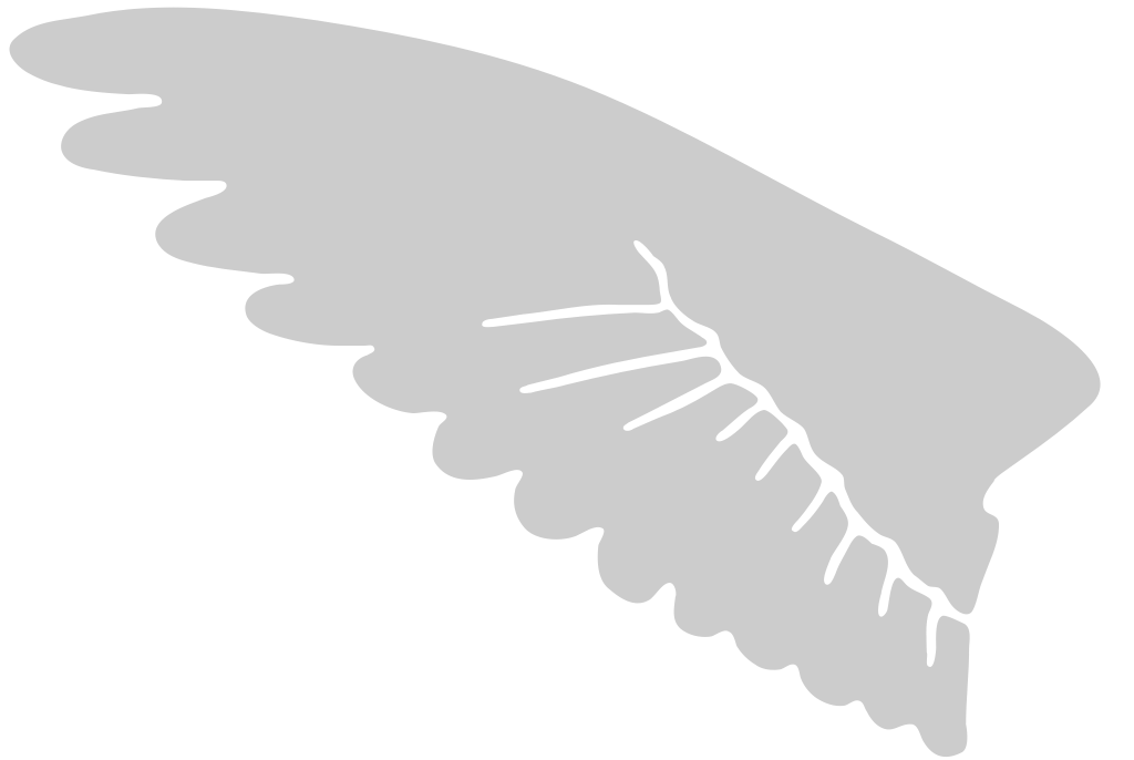 Wing vector