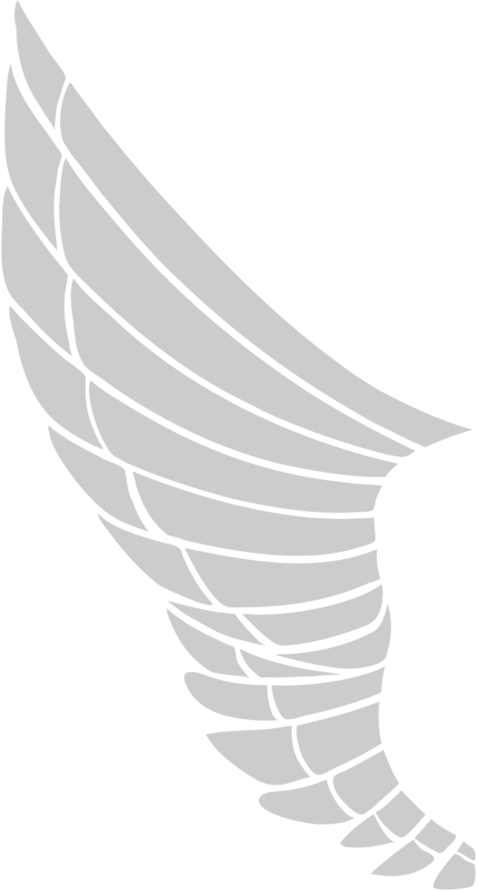 Wing vector