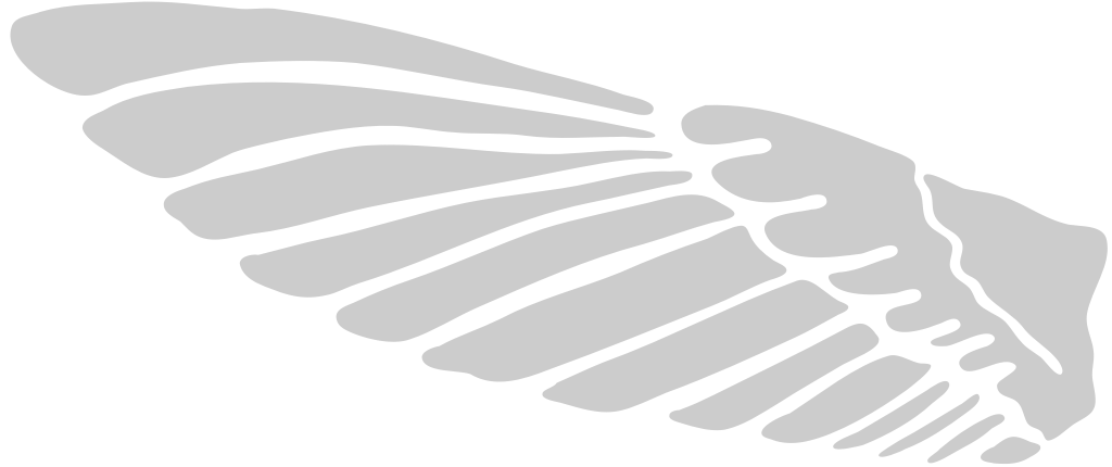 Wing vector