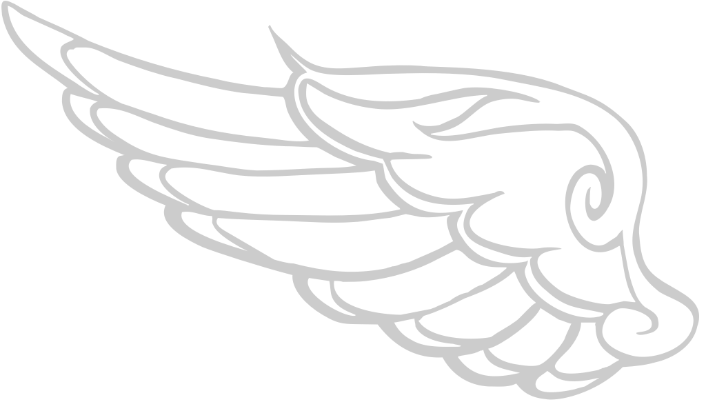 Wing vector