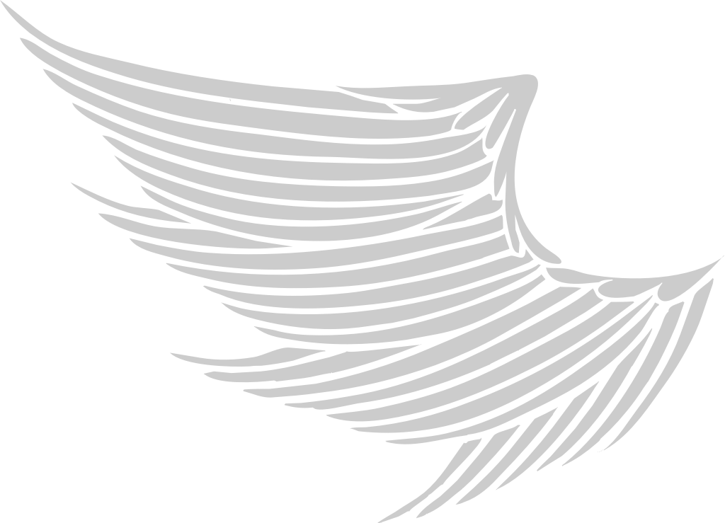 Wing vector