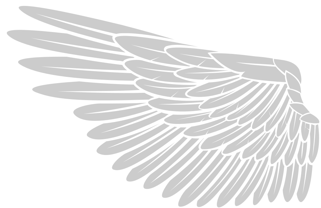 Wing vector