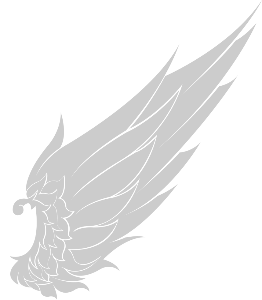 Wing warrior vector