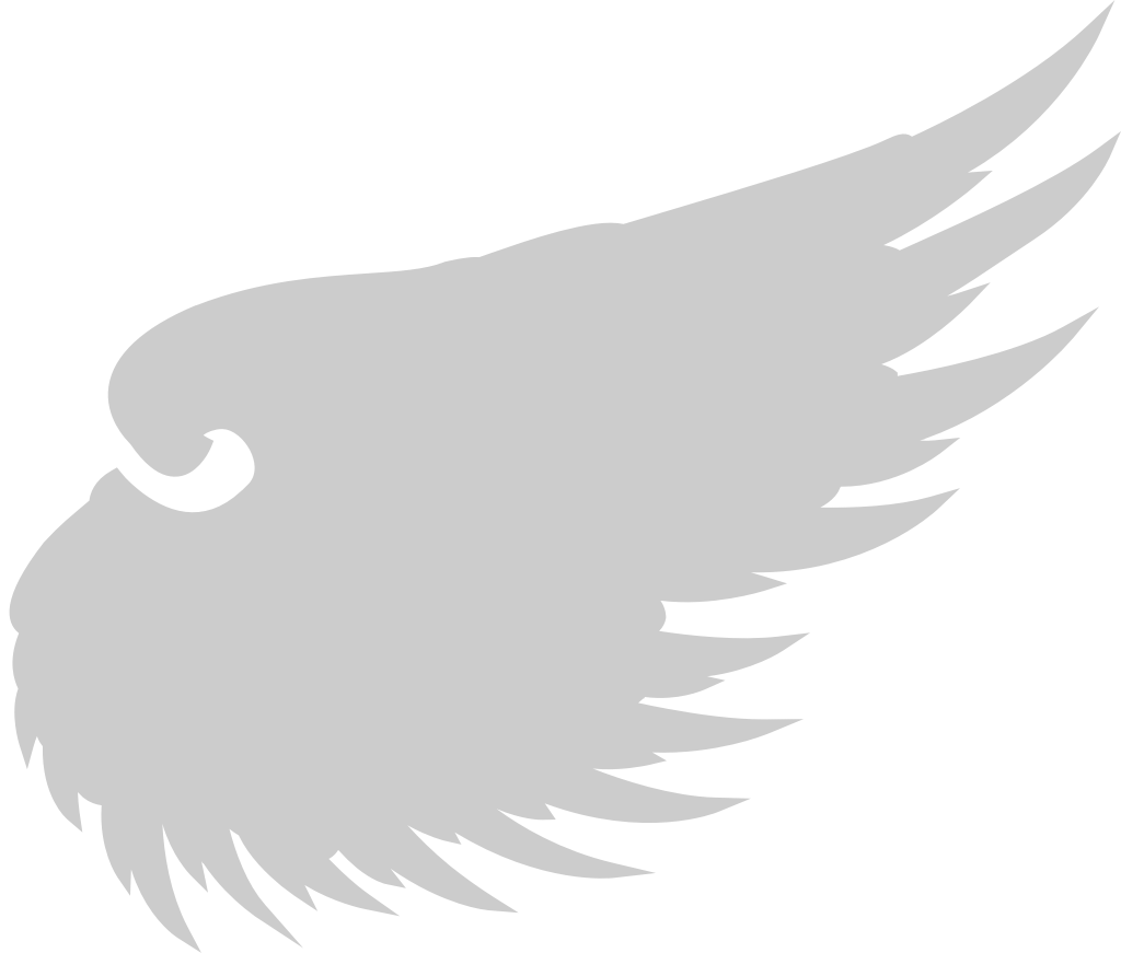 Wing angel vector