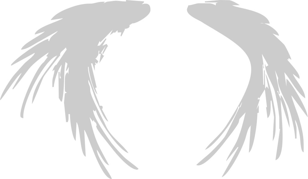 Wing  vector