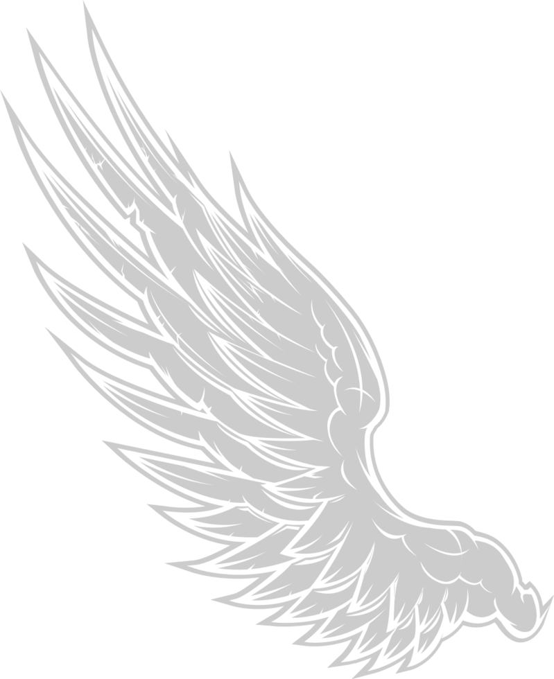 Wing  vector