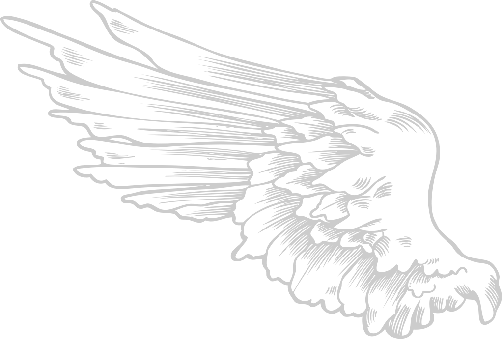 Wings angel vector
