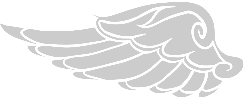 Wing bird vector