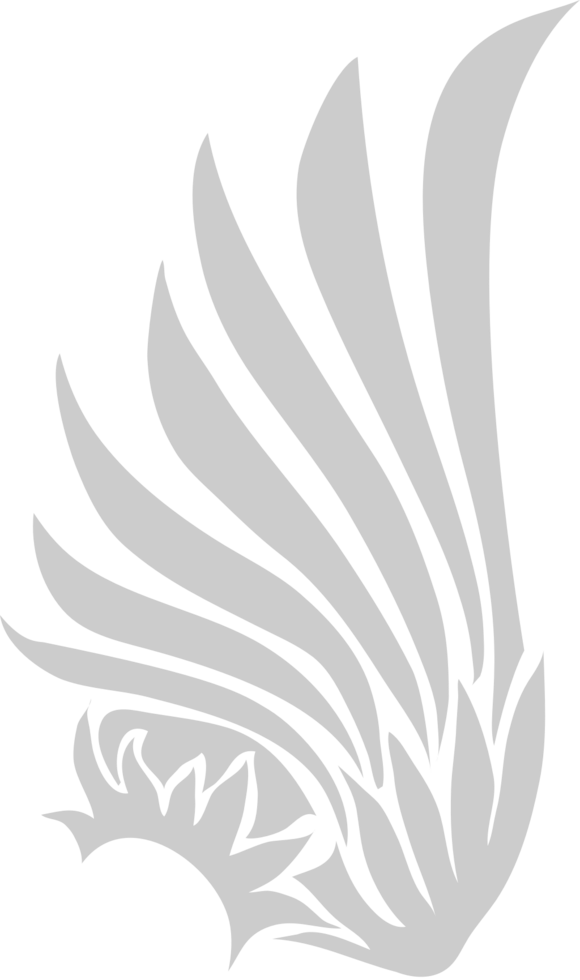 Wing bird vector