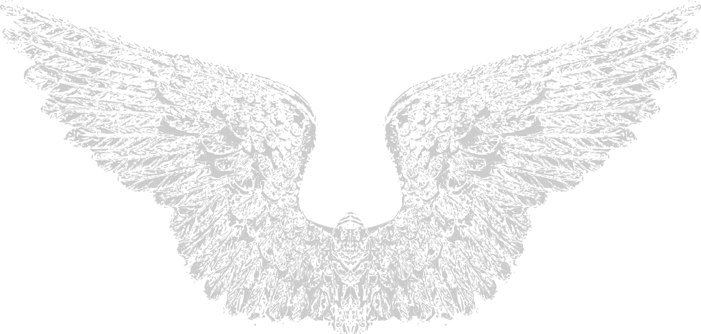 Wing vector